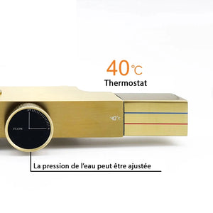 Colonne de douche thermostatique avec mitigeur mécanique, 3 voies, gris foncé ARCOS