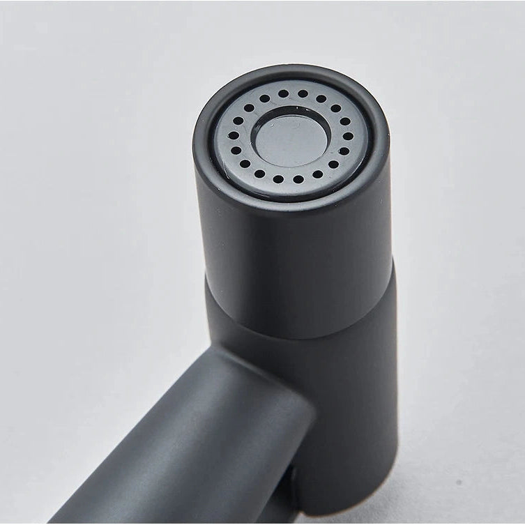 Douchette hygiénique bidet noir mat HYGIA