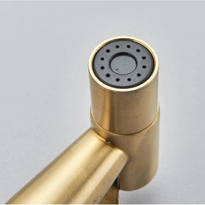 douchette hygiénique bidet or brossé HYGIA