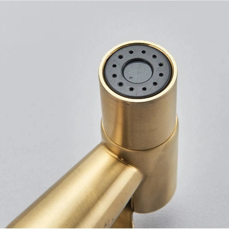 douchette hygiénique bidet or brossé HYGIA